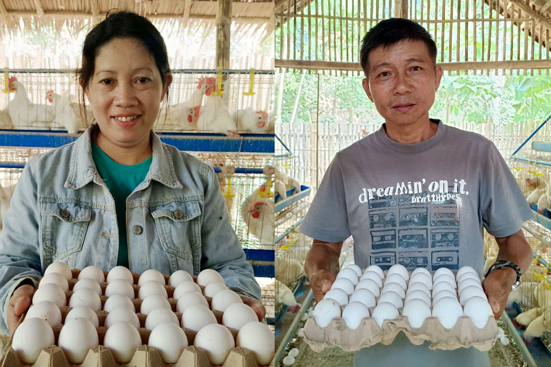 Samahan Sa Palawan Kumikita Na Sa Egg Production Project Mula Sa Saad Program 3201