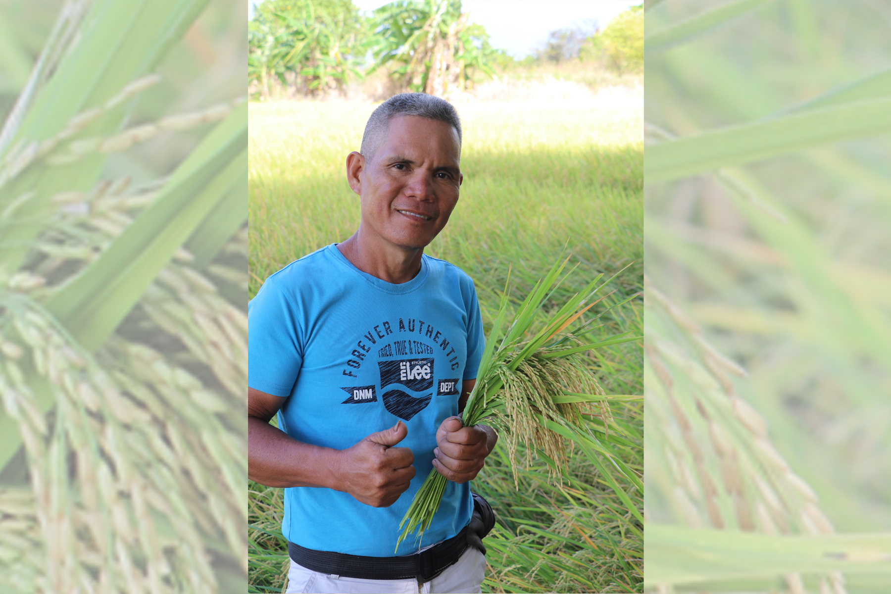 Dating drayber ng hand tractor, isang outstanding farmer na ngayon