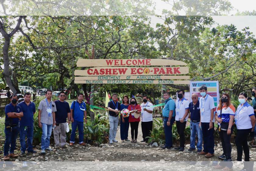 Kauna-unahang Cashew Eco-Park sa Palawan binuksan sa publiko ng DA-PRES