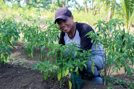 Solo parent, katutubong magsasaka sa OrMin, umangat ang kabuhayan sa tulong ng crop production ng AMIA Project