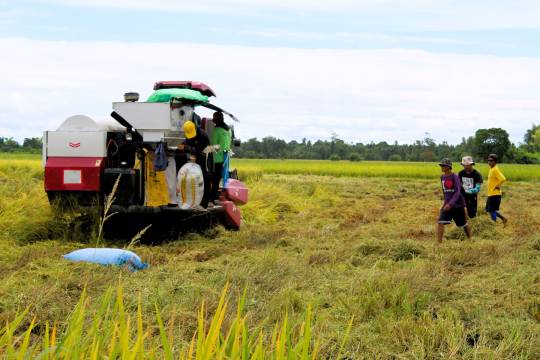 Pagtatanim ng hydrid rice at paggamit ng makabagong paraan sa pagsasaka, malaki ang naidulot sa ani at kita ng G. Antonino Gloria Farmer's Agriculture Cooperative