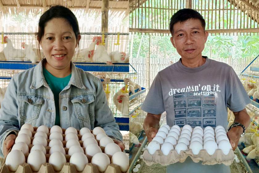 Samahan sa Palawan, kumikita na sa egg production project mula sa SAAD Program
